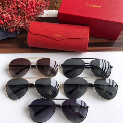 Ca*t*er-glasses-10