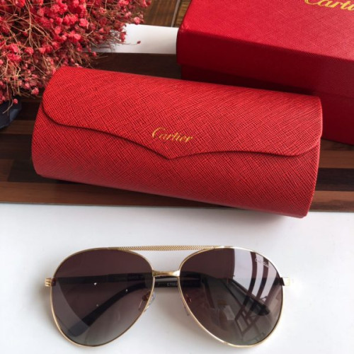Ca*t*er-glasses-10