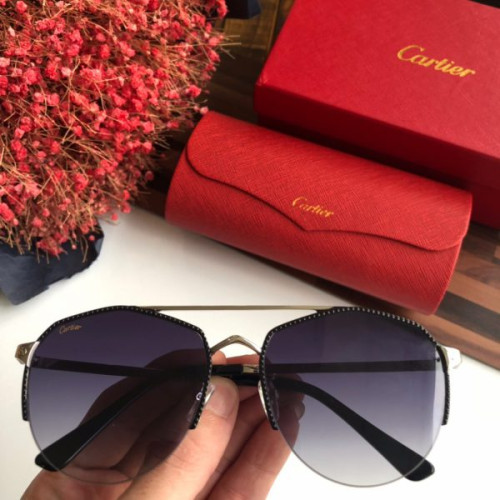 Ca*t*er-glasses-11