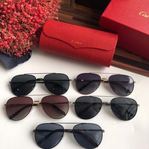 Ca*t*er-glasses-12