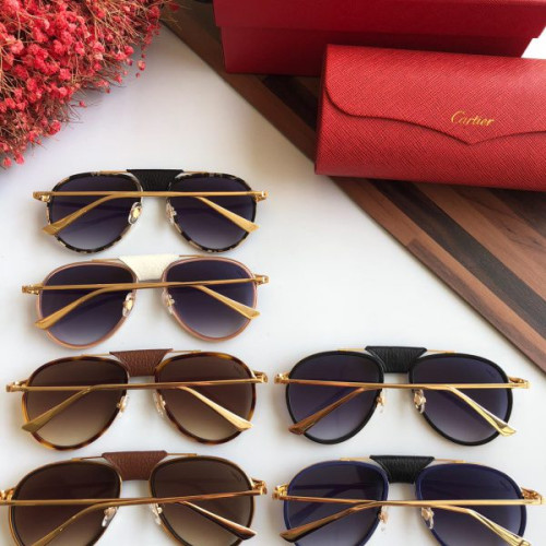 Ca*t*er-glasses-13