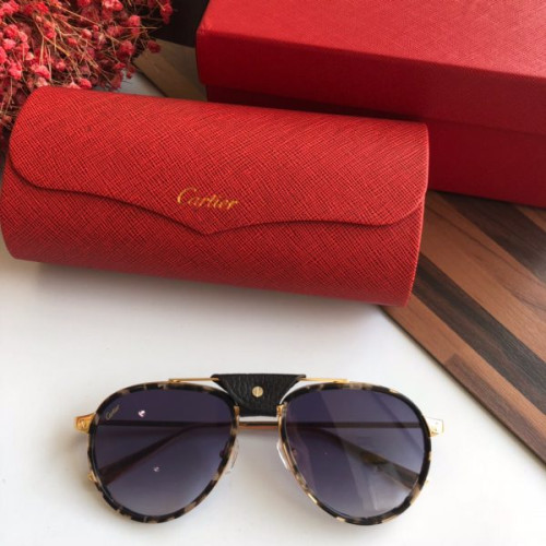 Ca*t*er-glasses-13