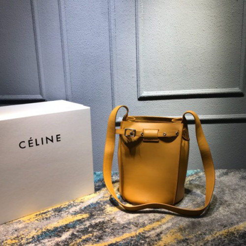 Ce**e-bucket-bag-6