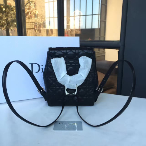 D*or-backpack