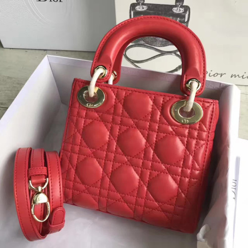 lady-D*or-mini-6-4