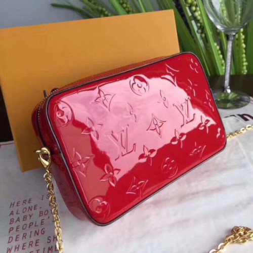 l0*is-V*t0n-camera-pouch
