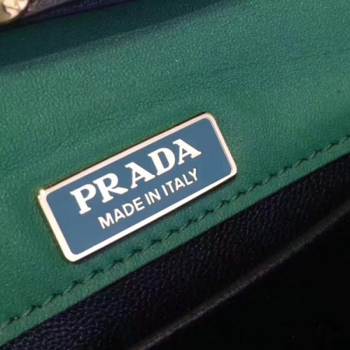 Pra*a-bag-67